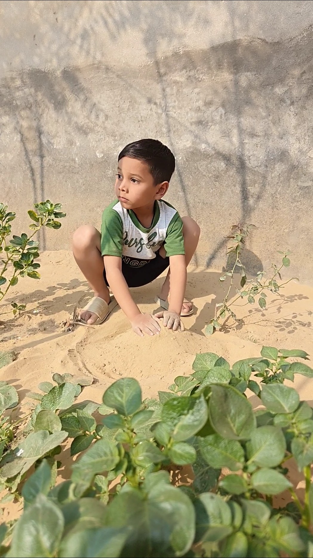 Mitti ke andar kya chhupa Diya ?? #shorts