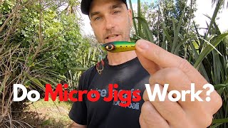 Fishing with MICRO JIGS vs SOFT BAITS - are they effective? screenshot 3