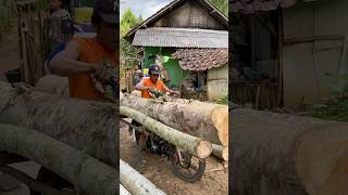 Skilnya bukan kalemg khong ghuan 🫣 #kampunghalaman #extreme #nature