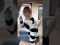 【大反響の彼女】お母さんにおつかい頼まれた田舎育ちの彼女。