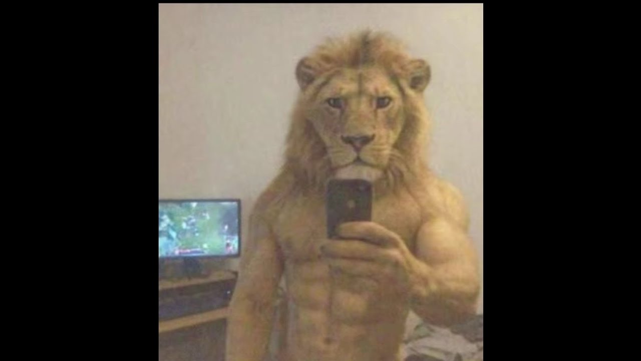 їв макарони та іздевався над суперниками