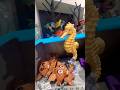 Freddy’s adventures 🐟🔥 #fanclubgusaruku #toys #collection #freddy