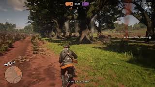 Red Dead Redemption 2 Online: Oh Bugger!