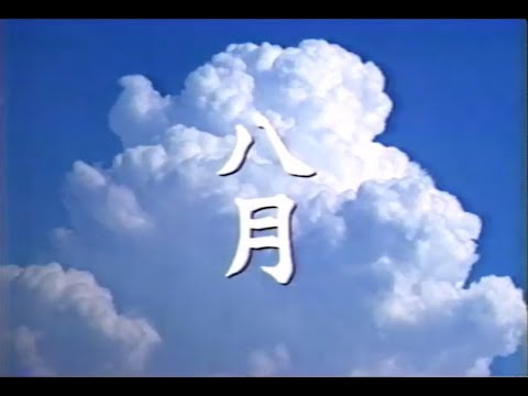 【懐かしいCM】ケンタッキー1994夏