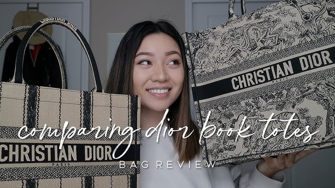 Best Book Tote - Reviewing & Ranking Louis Vuitton On The Go, Dior Book  Totes & YSL Rive Gauche 