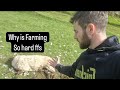 Why is Farming so tough, Dead as #sheep #lambs #tractors #shepherd #cows #irish #ireland #lambing