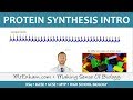 Protein Synthesis Part 1 - GCSE Biology (9-1)