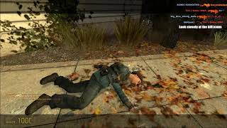 Teamkill in Saigns.de
