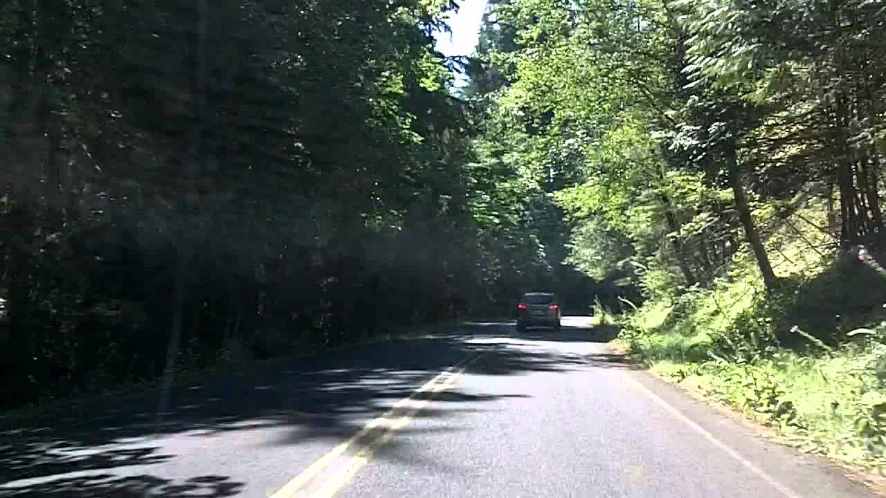 Gifford Pinchot Forest NF25, 90, 30, near Mt. St. Helens YouTube