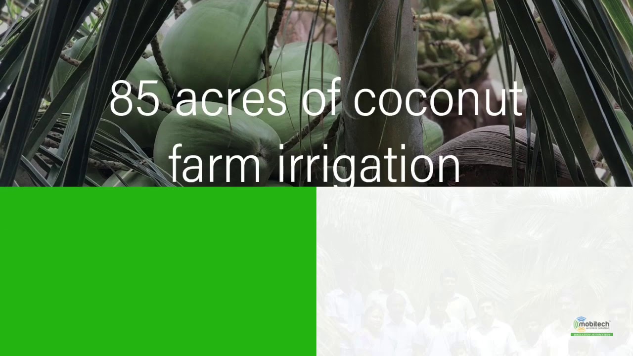 77 acres coconut farm irrigation automation by Mobitech wireless solution
