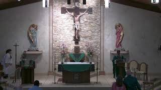 StStephenBulldogs Live Stream