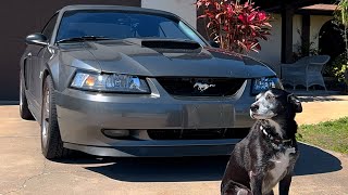 POV DRIVE NEW EDGE MUSTANG STR8 PIPED ASMR cruise and met a BOOSTED old edge