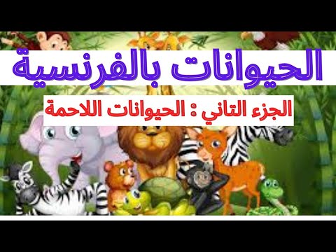 الحيوانات اللاحمة بالفرنسيةles Animaux Carnivores
