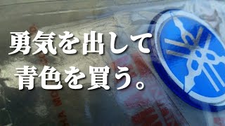 19年落ちのTW200 ♯15「タンクのエンブレムを変える。」