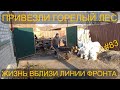 ПРИВЕЗЛИ ДРОВА ИЗ ГОРЕВШЕГО ЛЕСА. ЖИЗНЬ ВБЛИЗИ ЛИНИИ ФРОНТА.