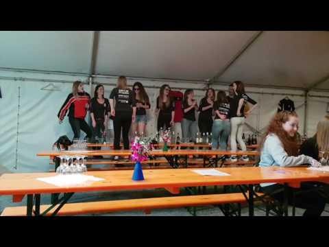 Alpen Express Solo und Duo Musikzentrale ch