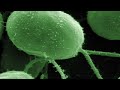Spotting hidden activity in cells