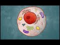 Spotting hidden activity in cells