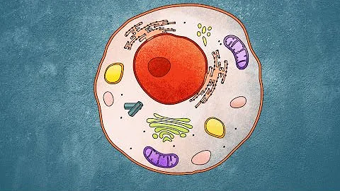 Spotting hidden activity in cells