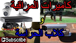 !!!وسائل الأمن في الضيعة الفلاحية .. كاميرات المراقبة و كلاب الحراسة