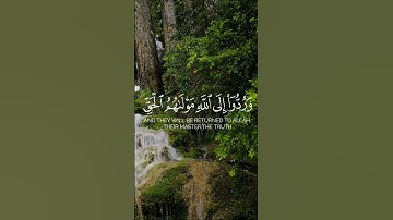 سورة يونس/الآية 30