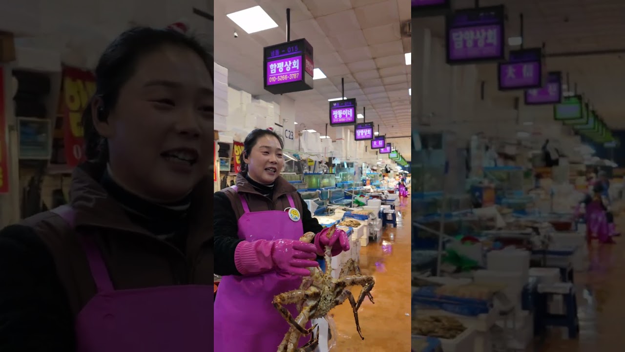 This Fish Market in Korea Is Insane !!!