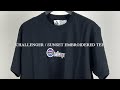 CHALLENGER(チャレンジャー)の2022SS新作SUNSET EMBROIDERED TEEのご紹介。#shorts #challengertoyama #fixertoyama