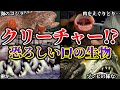 【ゆっくり解説】噛まれたら〇〇!?実在したクリーチャーの様な口が恐ろしい生物がヤバすぎる...!!!