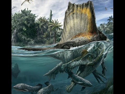 Videó: Dinoszaurusz Szikla Vagy Cal Orko - A Hely, Ahol A Világ Legnagyobb Koncentrációja A Dinoszaurusz Lábnyomait Tartalmazza - Alternatív Nézet