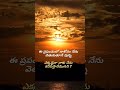 నా కోసం నేను వెతుకుతున్న #shorts #shortvideo #quotes #viral #telugu #viral #whatsppstatus