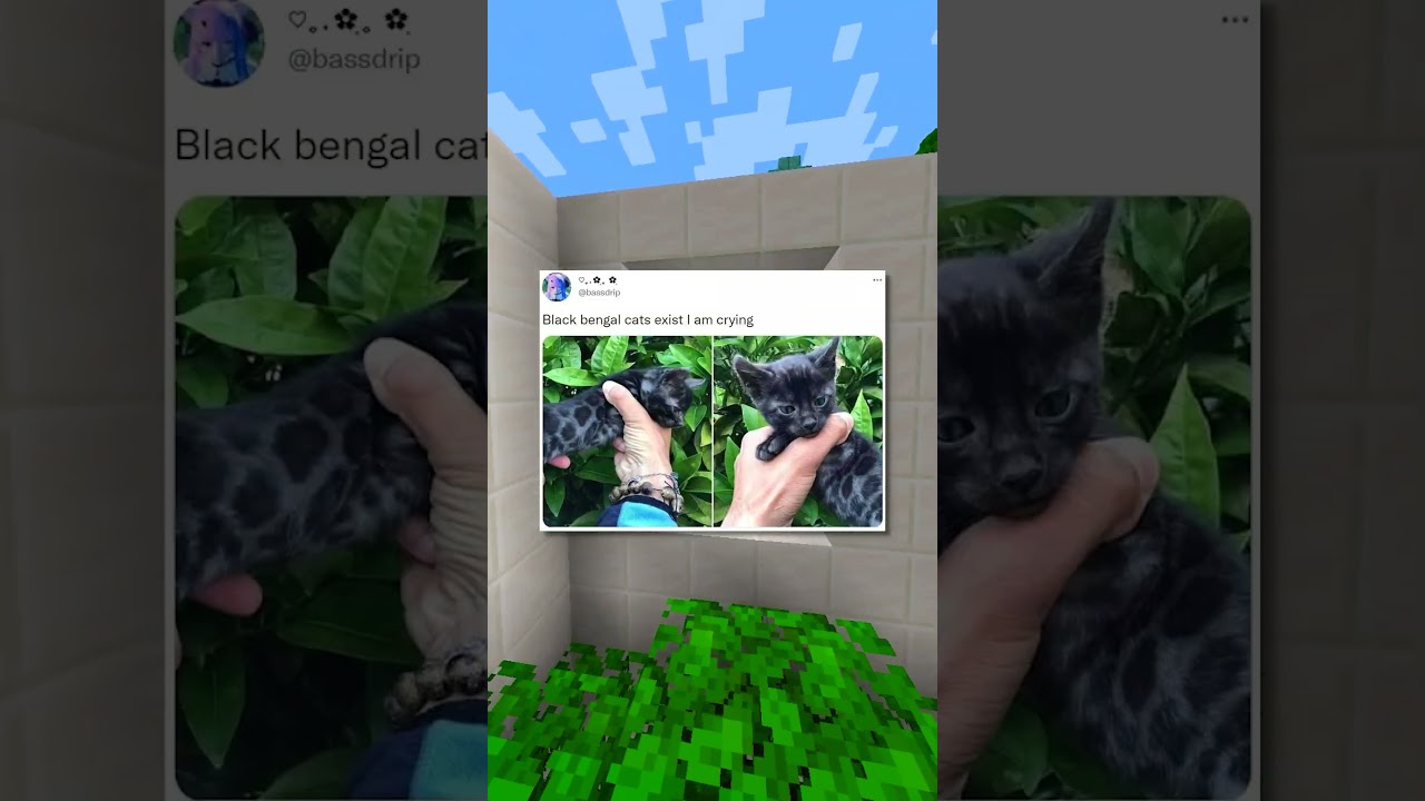 Cuteness Overload!! 😃💕 