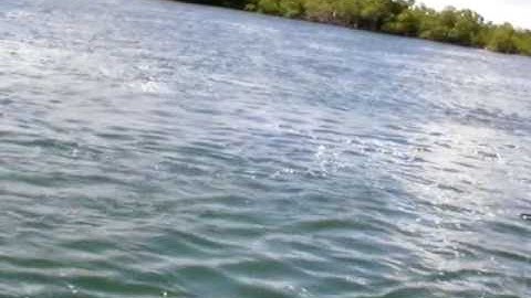 Final video segment ORC 2008