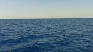 سورة الماعون /القارئ ماجد الزامل