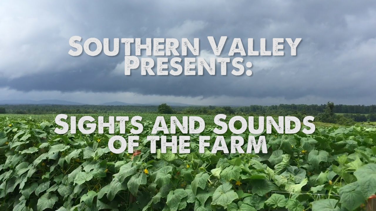 Sights and Sounds - YouTube