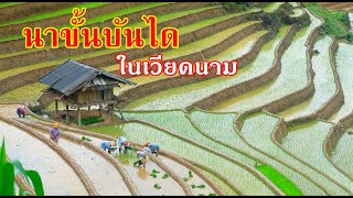 นาขั้นบันไดในเวียดนาม ใช้น้ำจากไหนมาทำนา?