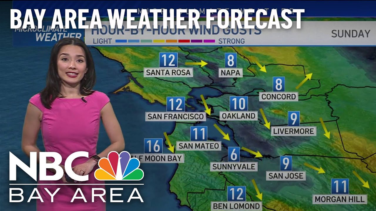 SIESTA Bay Area Weather Report Sweat