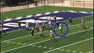 Daveons 2024 Season Highlights