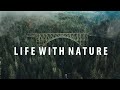 Life with nature l cinematic l focuschampfilms