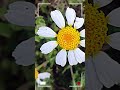 #tiktok #adventure #اكسبلور #nature