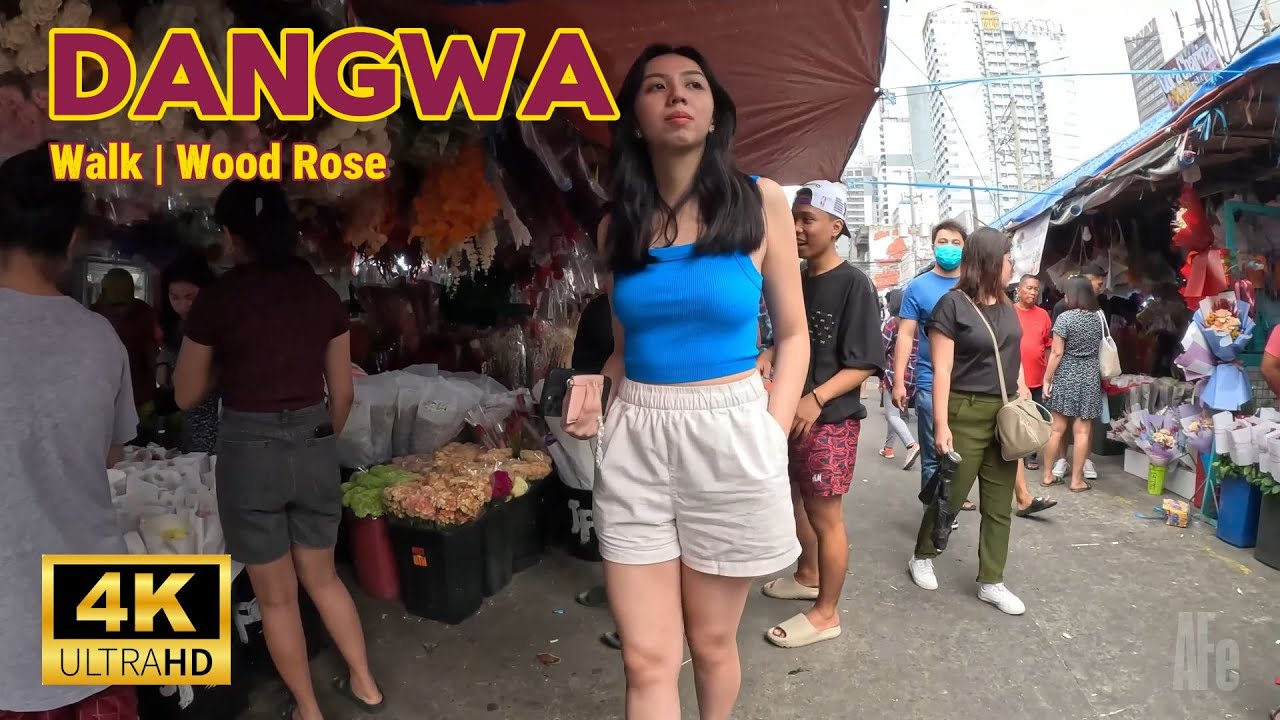 Buy Affordable Flower for Valentine's 2024❤️💐🎁| DANGWA | Tulips | Bouquet of ROSE | Walk Tour [4k]