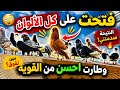 فتحت على كل حمام الالوان وطارت احسن من القوية
