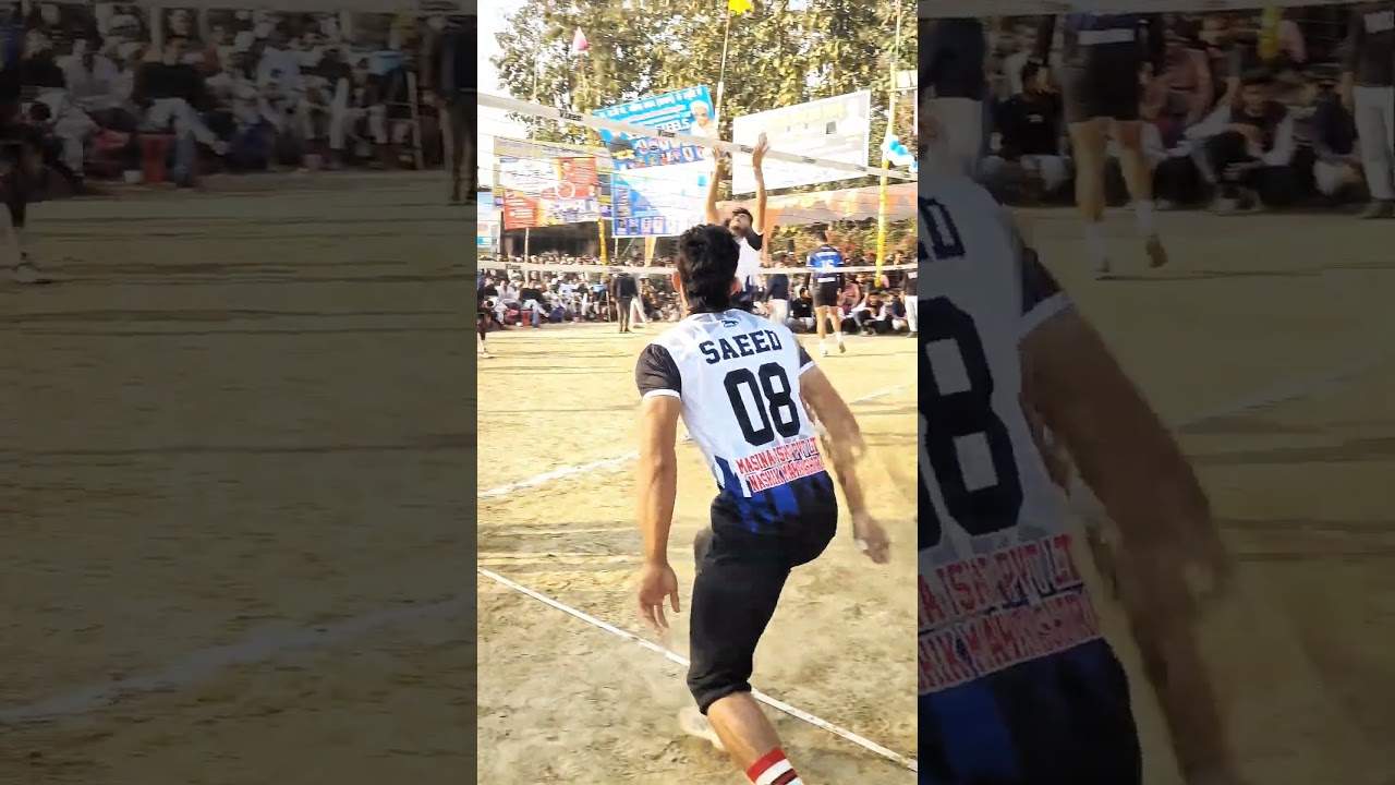 saeed Alam Volleyball shorts 