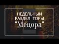 Недельный раздел &quot;Мецора&quot;