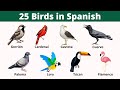 25 Bird names in Spanish with Pictures | Spanish Vocabulary