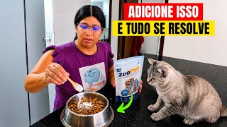Se você adicionar isso à comida do seu gato, quase tudo se resolve - O PODER DA ZEÓLITA