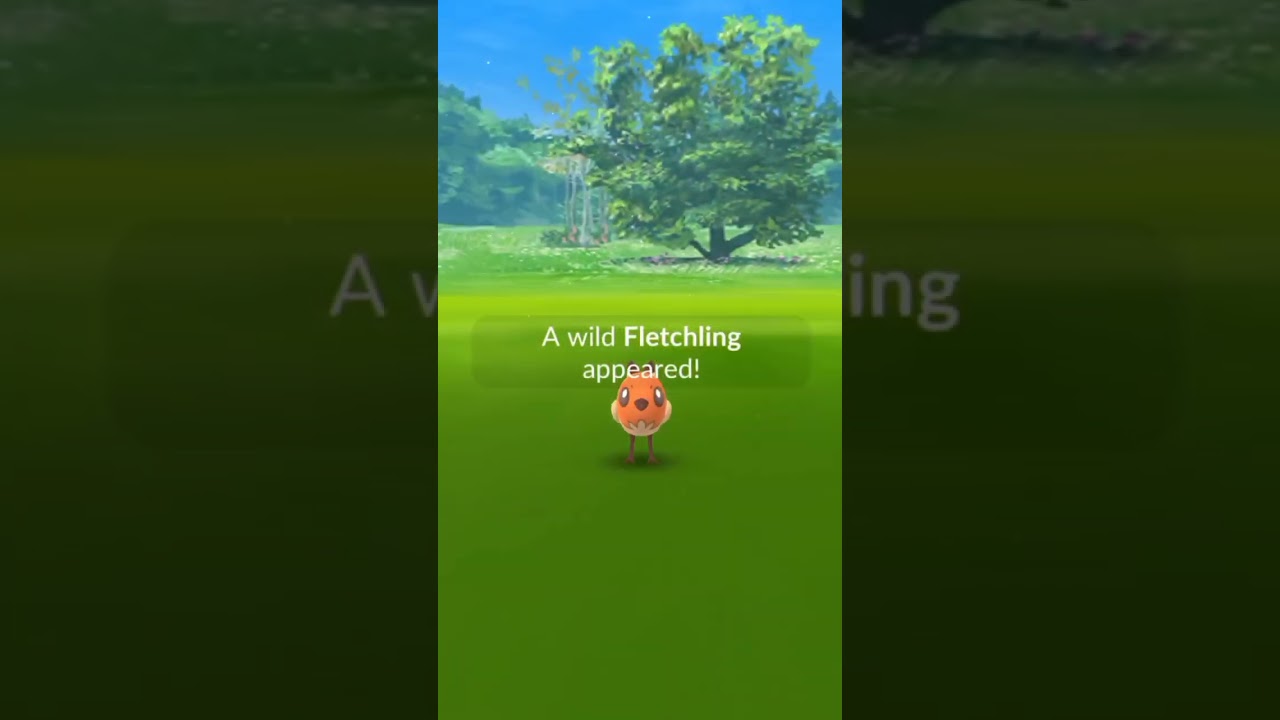 Shiny Fletchling in #pokemongo during Paldea event #shinypokemon #fletchling