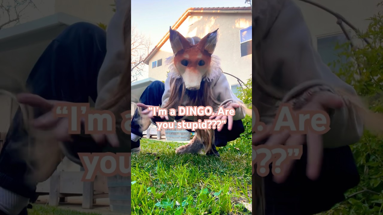 This has happened SO MANY TIMES!🥲🐾 