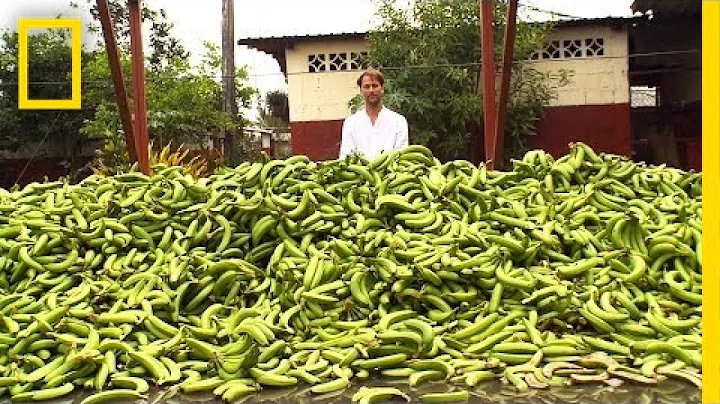 Tristram Stuart: The Beauty of Ugly Food | Nat Geo Live - DayDayNews