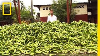Tristram Stuart: The Beauty of Ugly Food | Nat Geo Live