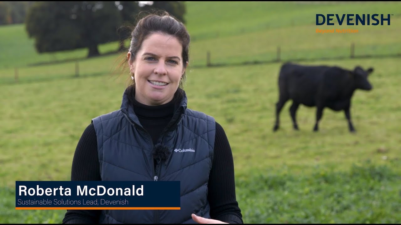 Devenish | The road to net zero and beyond